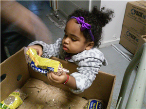 HARVEST OF HOPE INTERNATIONAL INC. photo #3